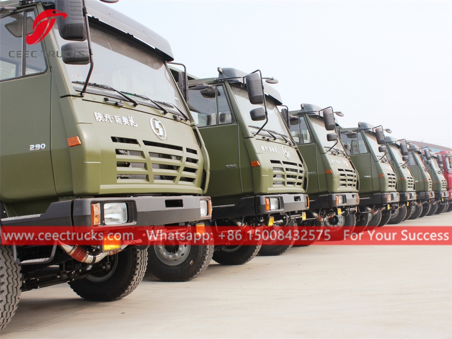 6x4 Kasa Kamyonu SHACMAN