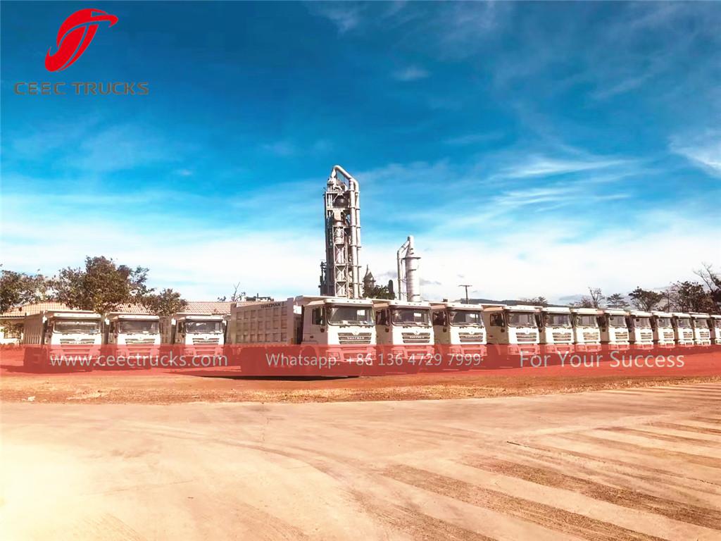 Gine-Maden çalışmaları için 20 adet SHACMAN damperli kamyon